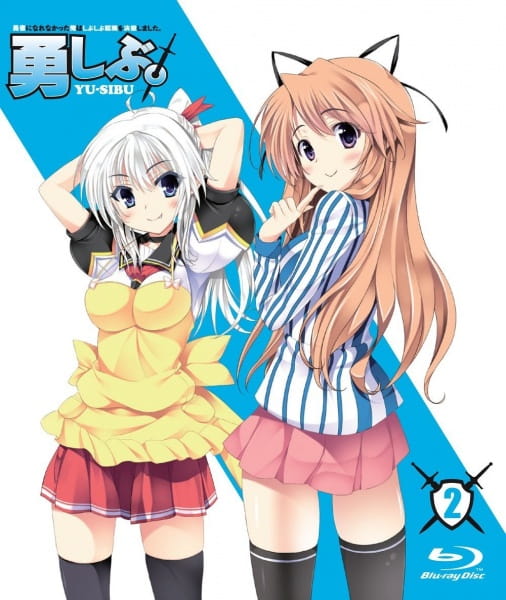 I Couldn't Become a Hero, So I Reluctantly Decided to Get a Job. Specials anime poster