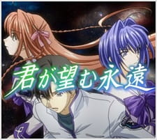 Kimi Ga Nozomu Eien Special