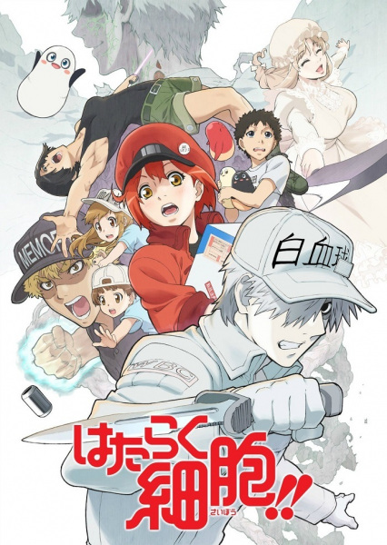 Cells at Work!! anime poster