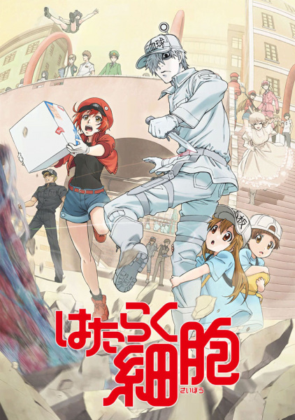 Cells at Work! anime poster