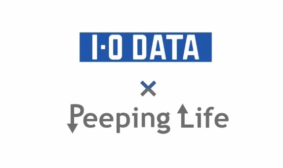 Peeping Life X I-O Data: Quiz!! Input Output anime poster