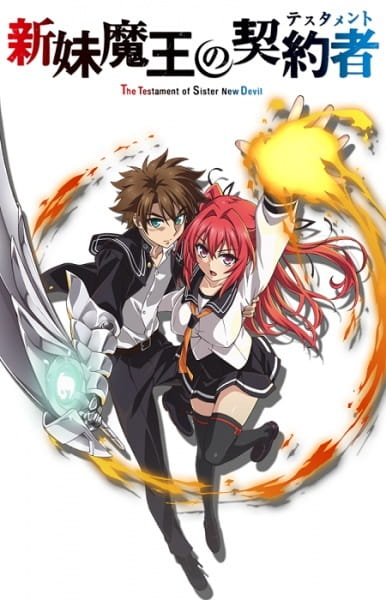 The Testament of Sister New Devil Ova anime poster