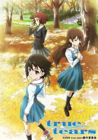 True Tears Recap anime poster