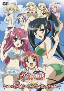 Shin Koihime†Musou: Gunyuu, Minami No Shima De Bakansu Wo Suru No Koto - Ato, Porori Mo Aru Yo!