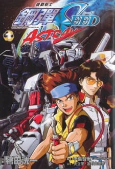 Mobile Suit Gundam Seed Msv Astray anime poster