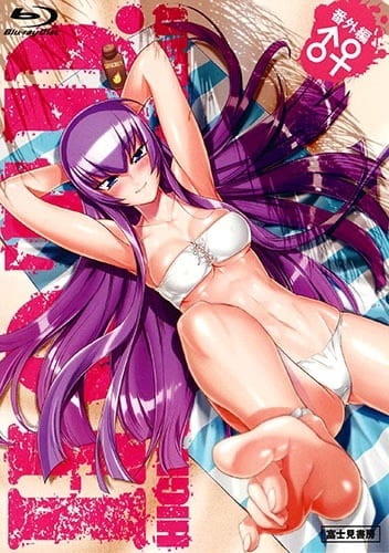 High School of the Dead: Drifters of the Dead anime poster