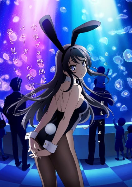 Rascal Does Not Dream of Bunny Girl Senpai anime poster
