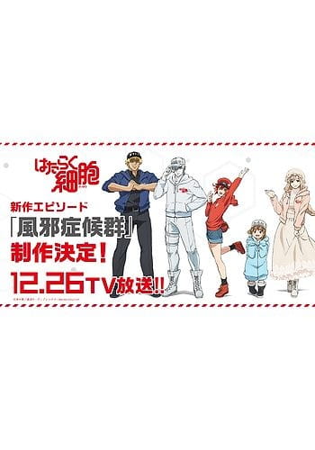 Cells at Work!: The Common Cold anime poster