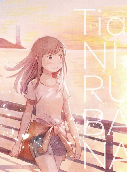 Nirvana anime poster