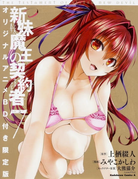 The Testament of Sister New Devil: Burst Ova anime poster