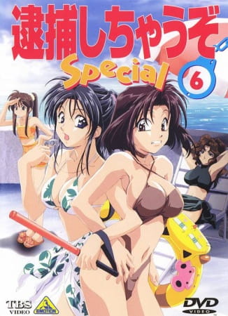 You're Under Arrest: Diverting Traffic at the Beach anime poster