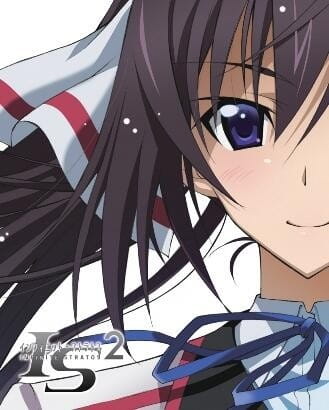 IS: Infinite Stratos 2 - Hitonatsu No Omoide anime poster