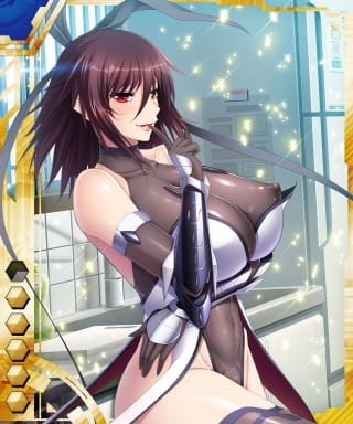 Taimanin Yukikaze Special anime poster